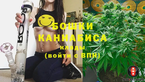 стафф Арсеньев